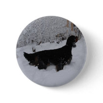 Gordon Setter Button