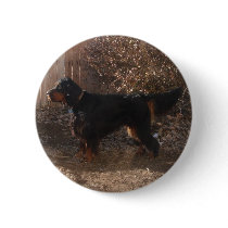 Gordon Setter Button