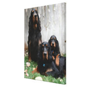 Gordon Setter Generations Wrapped Canvas Print