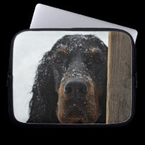 Gordon Setter in Winter Laptop Computer Sleeve laptop sleeves