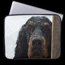 Gordon Setter in Winter Laptop Sleeve laptop sleeves