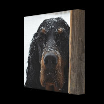 Gordon Setter in Winter Wrapped Canvas canvas prints