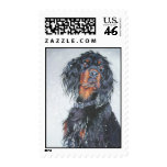 gordon setter postage stamp