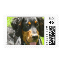 Gordon Setter Puppy Postage Stamp