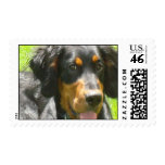 Gordon Setter Puppy Postage Stamp
