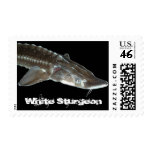 gordPNG Postage