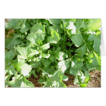 gorgeous arugula greeting card