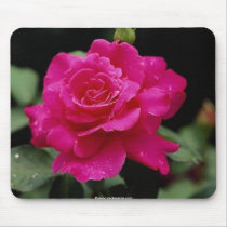 Gorgeous beautiful rose 2 mousepads