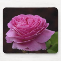 Gorgeous beautiful rose 3 mousepads by MickeyElvis Gorgeous beautiful rose 3 mousepads