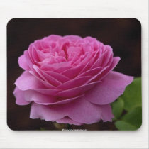 Gorgeous beautiful rose 3 mousepads