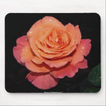 Gorgeous beautiful rose 4 mousepads