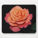Gorgeous beautiful rose 4 mousepads by MickeyElvis Gorgeous beautiful rose 4 mousepads