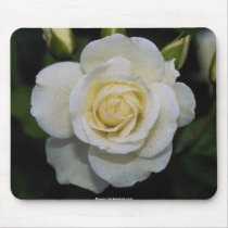 Gorgeous beautiful rose 5 mousepads