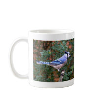 Gorgeous Blue Jay Coffee Mug