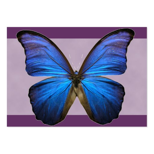 Gorgeous Blue Morpho Butterfly Business Cards (back side)