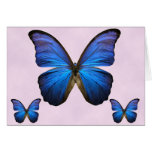 Gorgeous Blue Morpho Butterfly Greeting Card