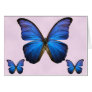 Gorgeous Blue Morpho Butterfly Greeting Card