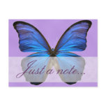 Gorgeous Blue Morpho Butterfly Postcard