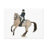 Gorgeous Buckskin Dressage Horse Art Postcard