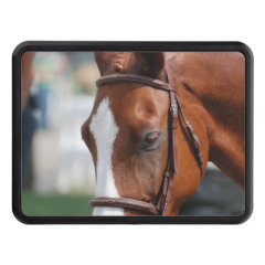 Gorgeous Chestnut Show Horse Hitch Cover