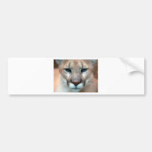 GORGEOUS COUGAR BUMPER STICKERS
