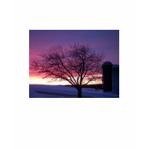 Gorgeous Country Farm Sunset Design T-Shirt