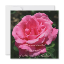 Gorgeous Deep Pink Rose Announcements