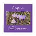 Gorgeous Fall Crocuses magnets by codfishlady Gorgeous Fall Crocuses magnets