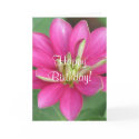 Gorgeous Flower cards