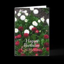 Gorgeous Flower Garden Birthday Card by webgrrl Gorgeous Flower Garden Birthday Card