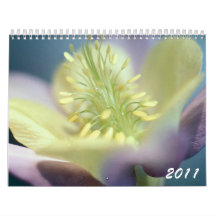 Gorgeous Flowers 2011 Calendar