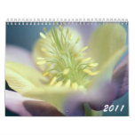 Gorgeous Flowers 2011 Calendar