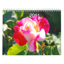Gorgeous Flowers Caledar Wall Calendars