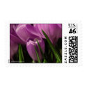 Gorgeous flowers postage