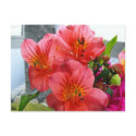 Gorgeous Flowers postcards