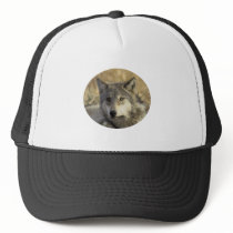 Gorgeous Gray Wolf hats
