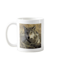 Gorgeous Gray Wolf mugs by animalwhimsy Gorgeous Gray Wolf mugs