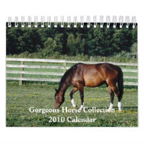 Gorgeous Horse 2010 Calendar by mickeyelvis128 Gorgeous Horse 2010 Calendar