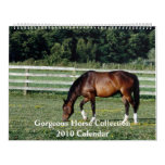 Gorgeous Horse 2010 Calendar