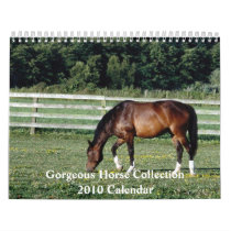 Gorgeous Horse 2010 Calendar by mickeyelvis128 Gorgeous Horse 2010 Calendar