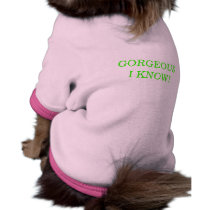 GORGEOUS I KNOW! pet clothing