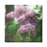 gorgeous lilac bouquet fridge magnet