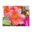Gorgeous Lily postcards