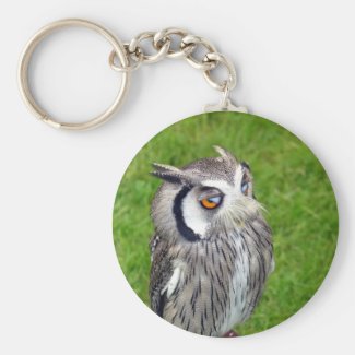 Gorgeous Little Owl Basic Round Button Keychain