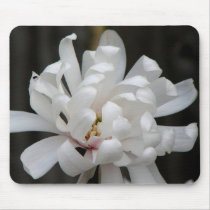 Gorgeous Magnolia Centennial  Bloom mousepads