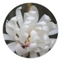 Gorgeous Magnolia Centennial Bloom stickers