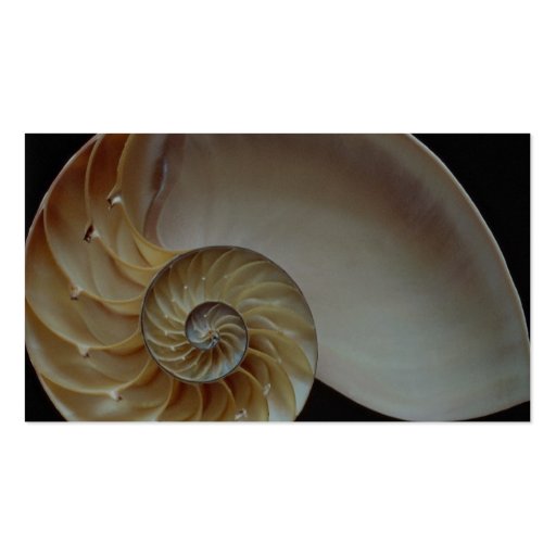 Gorgeous Nautilus shell Business Cards (back side)