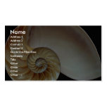 Gorgeous Nautilus shell Business Cards
