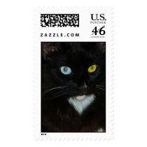 Gorgeous odd eyed black cat stamp by photomamma Gorgeous odd eyed black cat stamp