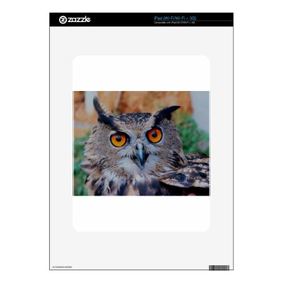 GORGEOUS OWL EYES iPad SKIN